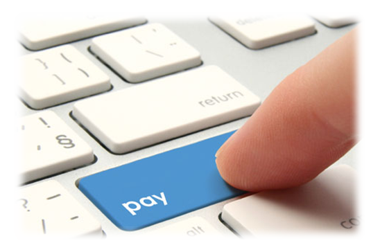 Pay an H2O Webs Invoice